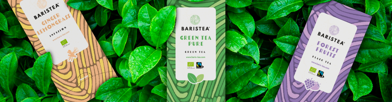 Baristea   2
