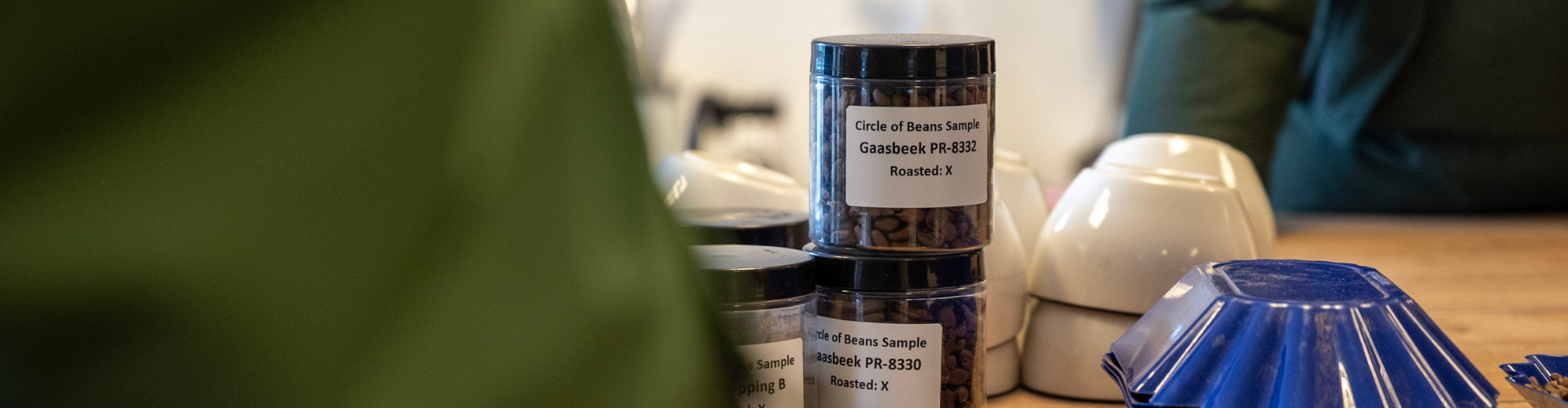 Circle of Beans Header Blog
