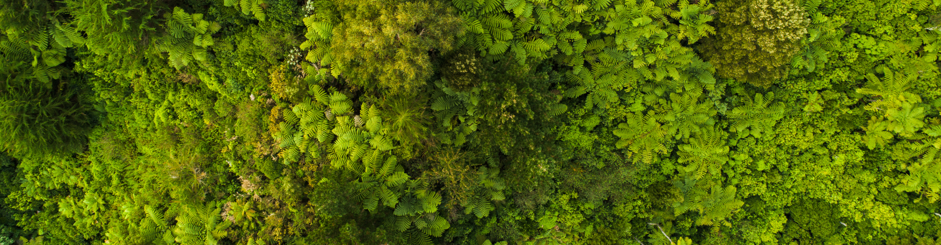 Duurzaamheid Header Blog