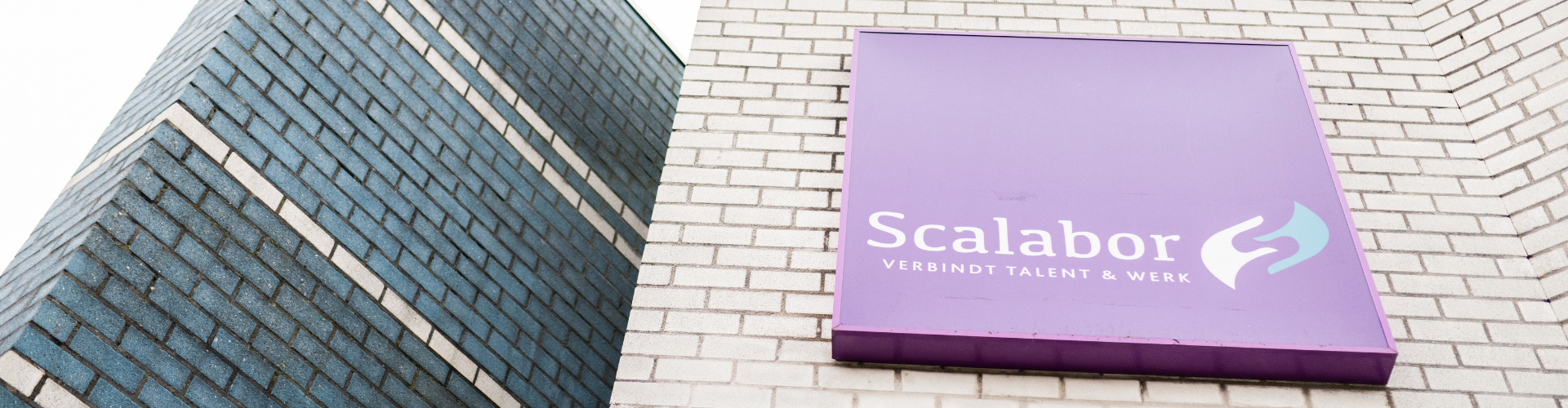 Scalabor Header Blog